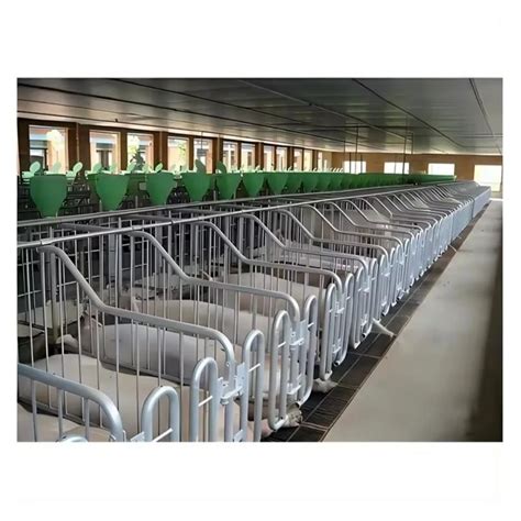 Pig Sow Piglet Piggery Farrowing Crate Gestation Stall Pen China