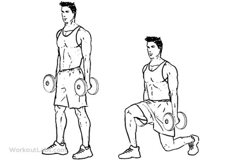 Reverse Dumbbell Lunges | WorkoutLabs