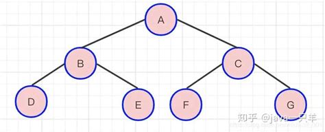 二叉树！！！数据结构与算法 看完这篇文终于搞明白了 知乎