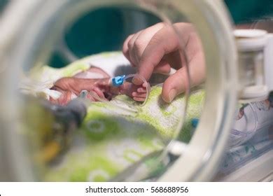 Mother Holding Premature Baby Tiny Hand Stock Photo 568688956