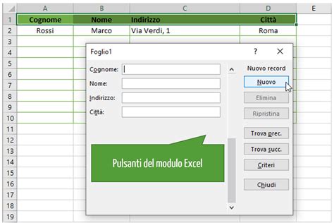 Modulo Excel Cos E Come Crearlo Excel Per Tutti