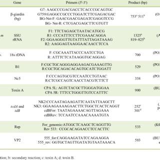 Agent Target Gene Primer Sequences And Expected Amplicon Size Of PCR