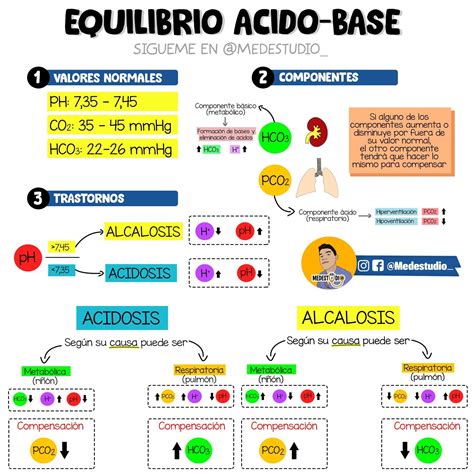 Equilibrio Acido Base Que Es Que Organos Intervienen Como Se Produce