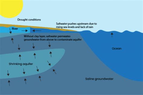 Understanding Saltwater Intrusion - pHionics