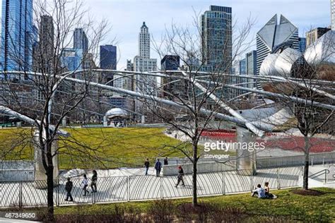 96 Chicago Bean Winter Stock Photos, High-Res Pictures, and Images ...