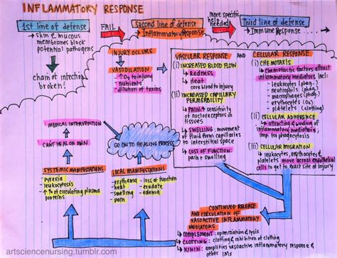 Pathophysiology Concept Map Template