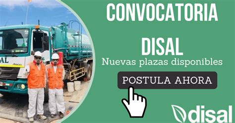 Disponibilidad Para Nuevos Colaboradores En Disal Conoce Las Plazas