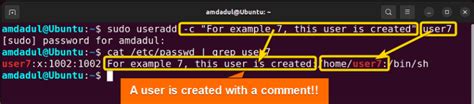 The Useradd Command In Linux Practical Examples