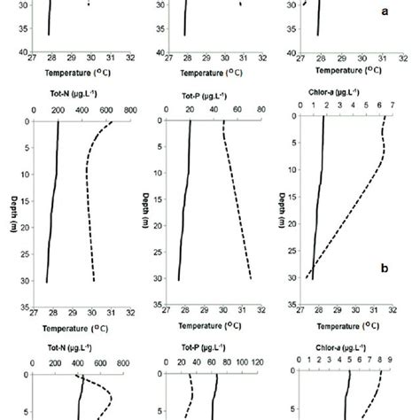 Vertical Profile Of Chlorophyll A Phosphorus And Nitrogen Download Scientific Diagram