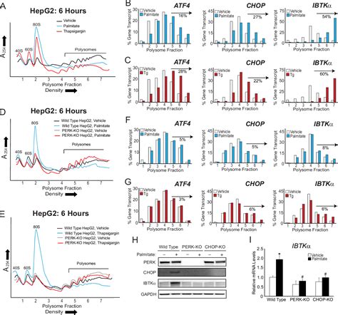 Figure 1 From Function Of Inhibitor Of Bruton S Tyrosine Kinase Isoform