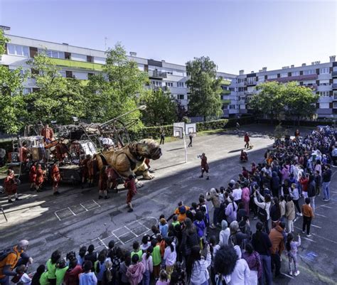 Le Bull Machin De Monsieur Bourgogne Royal De Luxe