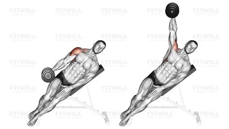 Dumbbell Incline One Arm Lateral Raise Exercise Video Fitwill