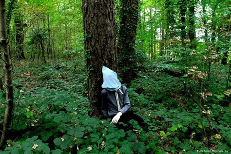 Aokigahara forest – Artofit