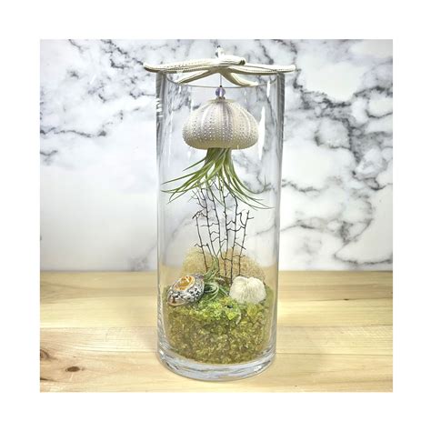 This Floating Jellyfish Air Plant Terrarium Is A Truly Eye Catching