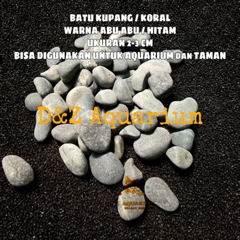 Jual Batu Kupang Koral Abu Aksesoris Aquarium Dekorasi Taman 1 Kg