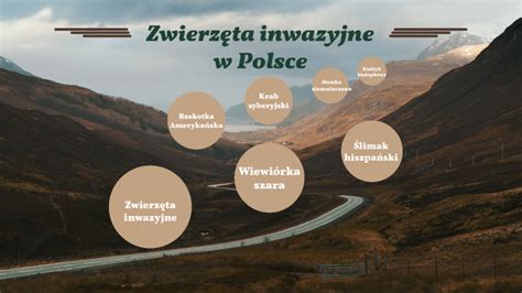 Zwierzęta inwazyjne w Polsce by F Low on Prezi