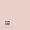 Ppg Ultralast Gal Ppg Cameo Peach Matte Interior Paint And