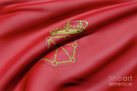 Navarra Flag Digital Art By Enrique Ramos Lopez Fine Art America