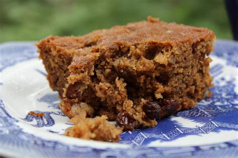 Applesauce Raisin Spice Cake Gluten Free