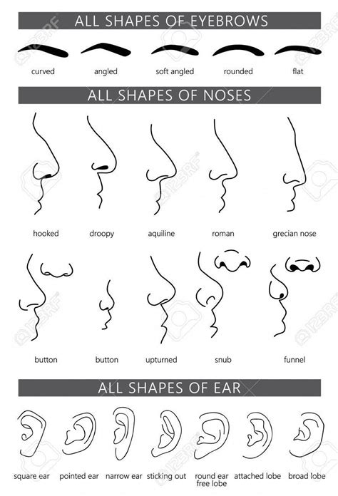 The Shape of Your Nose Tells a Ton about Your Personality.. en 2024 ...