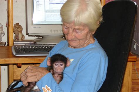 Rita Miljo, 81, Guardian of South Africa Baboons, Dies - The New York Times