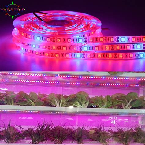 LED Grow Strip 5M Roll Waterproof Red Blue Phyto Lamp 300LEDs 5050 Chip