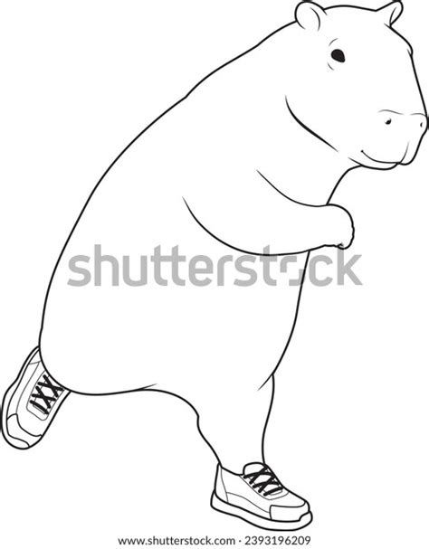 Capybara Runner Running Sports Animal Vector Stock Vector (Royalty Free ...