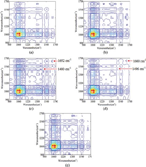 Synchronous Two Dimensional Infrared Correlation Spectra Of A Pure Download Scientific