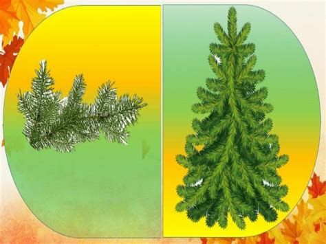 Дидактична гра «З якого дерева листочок?»