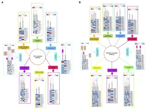 Frontiers Identification Of The Complex Interplay Between Nematode