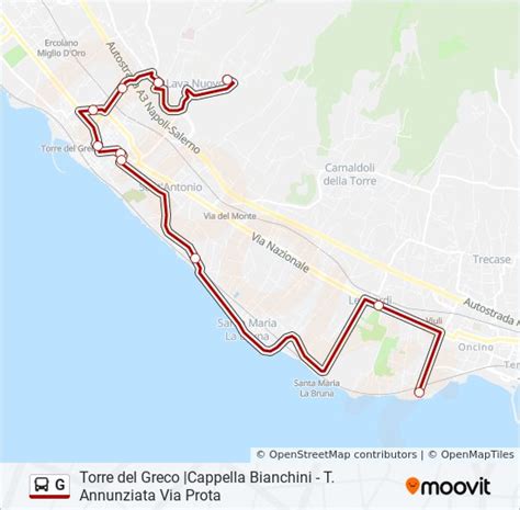 Predecir semestre Confiar benalmadena bus route map Grillo loco chatarra