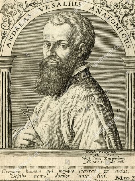 Andreas Vesalius Flemish Anatomist 1514 1564 Editorial Stock Photo