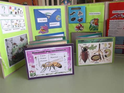 Картинки лэпбук (56 лучших фото)