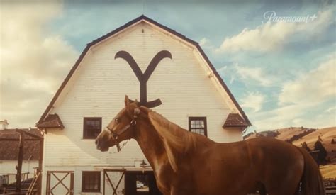 Cavalo Caramelo S Mbolo Das Enchentes Do Rs Protagoniza Chamada Da