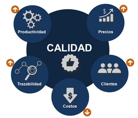 Evolucion De La Calidad Timeline Timetoast Timelines