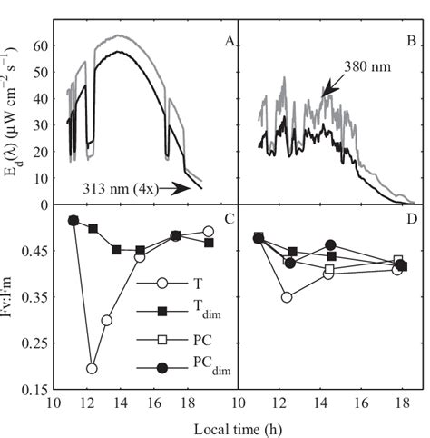 Uv Irradiance And Photosynthetic Performance Of Phytoplankton A B