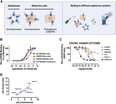 Nanob2 To Monitor Interactions Of Ligands With Membrane Proteins By Combining Nanobodies And