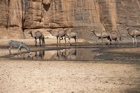 Guelta d'Archeï | Travel Story and Pictures from Chad