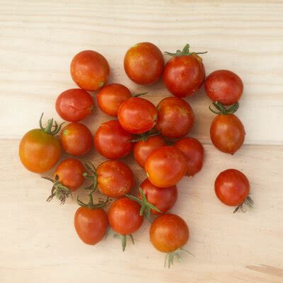 Tomate Cerise Rouge Red Centiflor Cherry