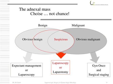 Laparoscopic Surgery In Gynaecologic Oncology Ppt Download