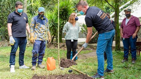 Adopta Un Rbol Nueva Campa A De Renaultsofasa