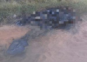 Corpo é encontrado carbonizado no rodoanel de Ponta Porã