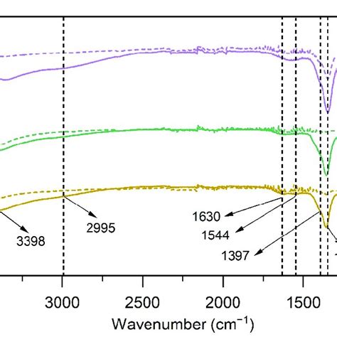 Ir Spectra From 500 Cm −1 To 4000 Cm −1 For C10 Series Obtained In Atr Download Scientific