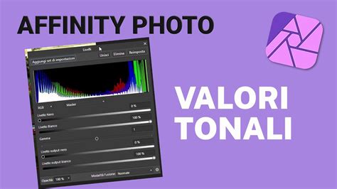 Modificare I Livelli VALORI TONALI Di Una Foto Con Affinity PHOTO