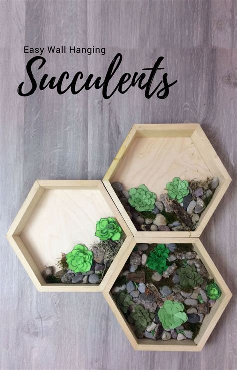 How To Make A Hanging Succulent Garden Hanging Succulents Make A