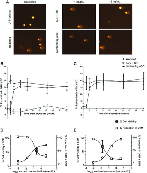 A The Single Cell Gel Electrophoresis Comet Assay Was Carried Out On