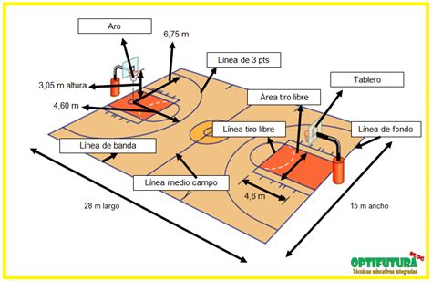 Cancha De Baloncesto Con Sus Medidas