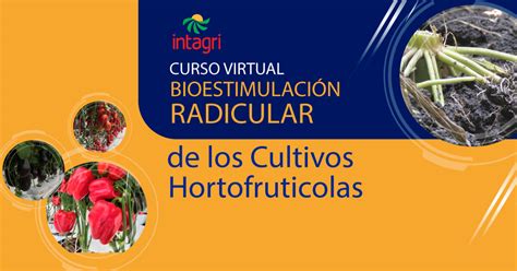 Curso Virtual Bioestimulación Radicular de los Cultivos