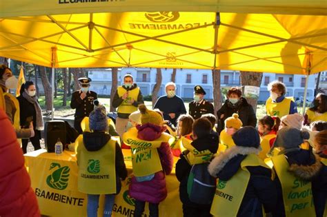 Tropea Nuove Piante Messe A Dimora Nella Pineta Foto Gazzetta Del Sud