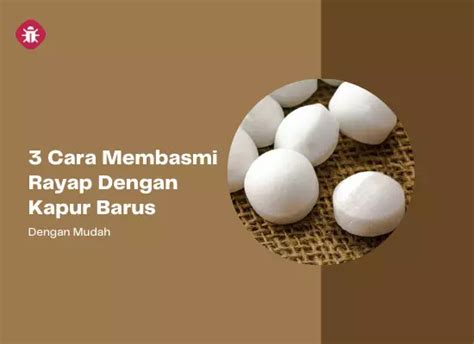 Cara Membasmi Rayap Dengan Kapur Barus Dengan Mudah